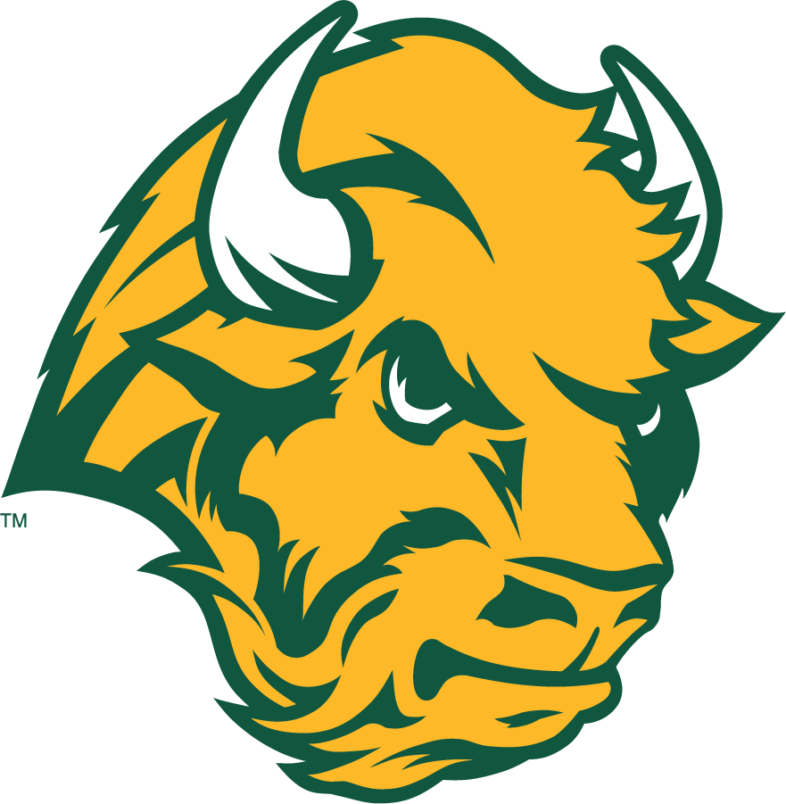 North Dakota State Bison 2006-2012 Secondary Logo iron on transfers for T-shirts